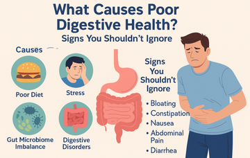 Gut Health Reset Guidebook